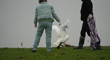 Yabani Hayvanlar Büyükşehir’in Şefkat Eliyle Yeniden Hayat Buluyor!