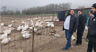 Samsun'da Kaz Yetiştiricileri Akademik Bilgiyle Buluştu!