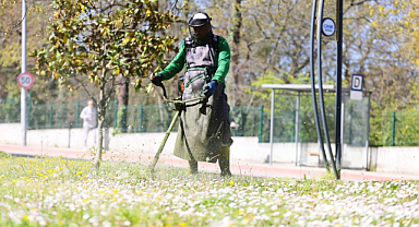 Canik'te Parklar Yaza Hazırlanıyor!