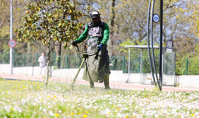 Canik'te Parklar Yaza Hazırlanıyor!