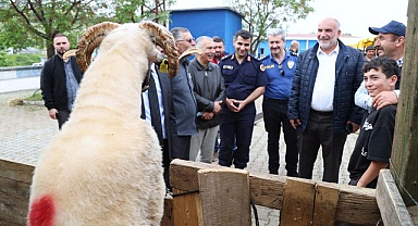 Canik Belediyesi Kurban Pazarı’na Büyük Rağbet!