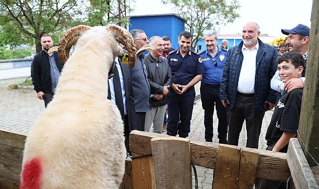 Canik Belediyesi Kurban Pazarı’na Büyük Rağbet!