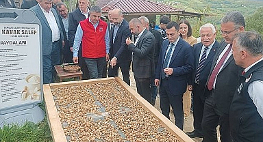 Kavak'ta Salep Hasadı Başladı!