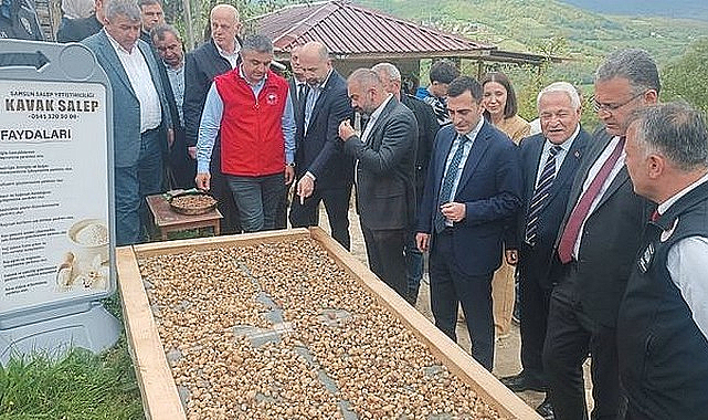 Kavak'ta Salep Hasadı Başladı!
