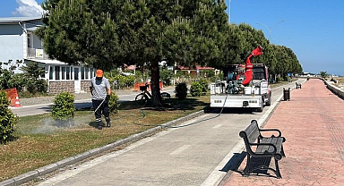 Büyükşehir’den Şehir Genelinde Vektörlerle Mücadele!