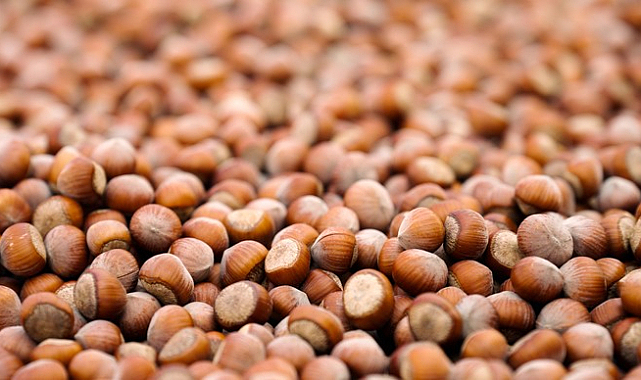 Ferrero Değerli Tarım Programı, Ferrero Grubu’nun Tedarik Zincirini Daha Dayanıklı Hale Getirdi!