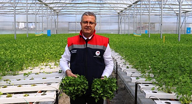 Samsun'da Üreticilerden Kırsal Kalkınma Yatırımlarına Yoğun İlgi!