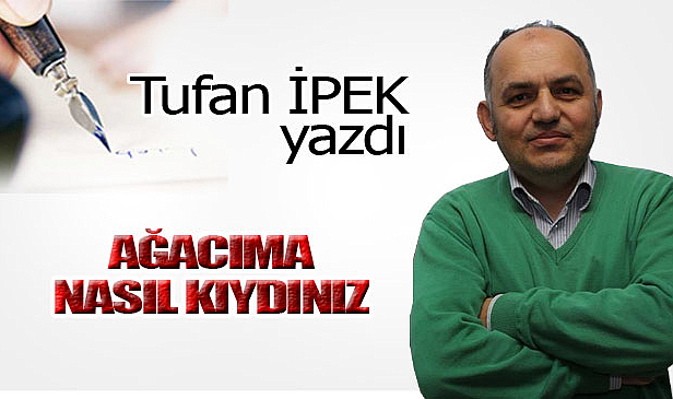AĞACIMA NASIL KIYDINIZ!