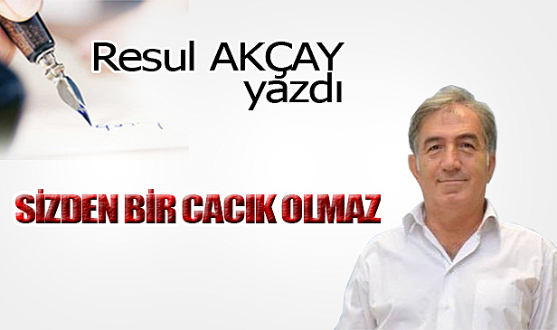 SİZDEN BİR CACIK OLMAZ!
